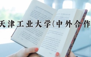 2024年天津工业大学(中外合作)录取分数线，内蒙古最低503分