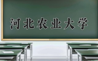 智慧农业专业大学排名！附2025全国最新院校排行榜名单