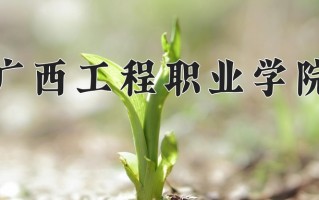 2024广西工程职业学院录取分数线：浙江最低269分