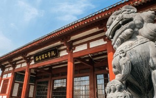 2024洛阳理工学院录取分数线，重庆录取最低分491