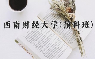 2024西南财经大学(预科班)录取分数线，重庆录取最低分578