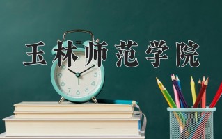 2024玉林师范学院录取分数线：浙江最低501分