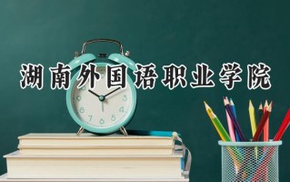 2024湖南外国语职业学院录取分数线：山西最低199分