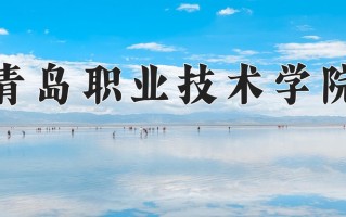 2024青岛职业技术学院录取分数线：浙江最低408分