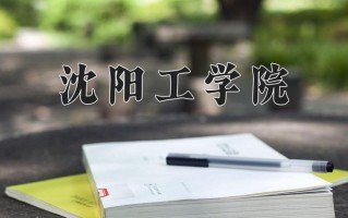 2024年沈阳工学院录取分数线，新疆最低195分