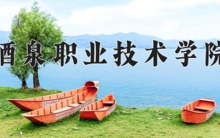 2024年酒泉职业技术学院录取分数线，青海最低260分