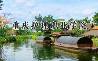 重庆护理职业学院2024在山东录取分数线是多少？最低249分/最高357分