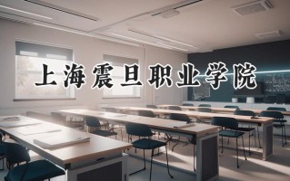 2024上海震旦职业学院录取分数线：江苏最低246分