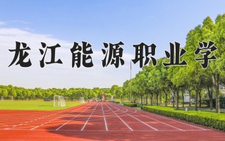 2024黑龙江能源职业学院录取分数线，重庆录取最低分303