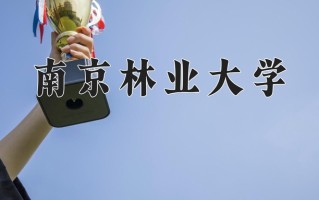 2024年南京林业大学录取分数线，新疆最低411分