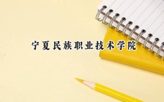 宁夏民族职业技术学院2024在青海录取分数线是多少？最低316分/最高384分