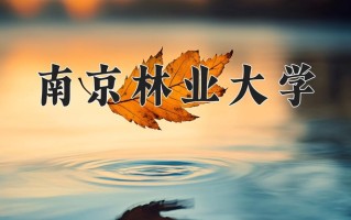 林产化工学费多少？附河南2024年招生的大学