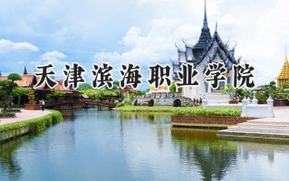 天津滨海职业学院2024在青海录取分数线是多少？最低279分/最高351分