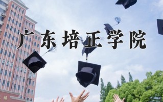 2024广东培正学院录取分数线，重庆录取最低分428