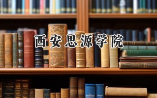 2024西安思源学院录取分数线：山西最低206分