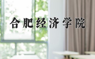 合肥经济学院最厉害的专业-2024合肥经济学院最好专业