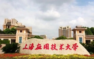 上海应用技术大学2024年各学科排名一览表！附教育部评级比例