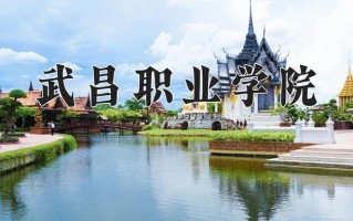 2024武昌职业学院录取分数线：浙江最低349分