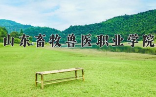 2025年山东畜牧兽医职业学院在四川计划招生人数（附学费及专业录取分)