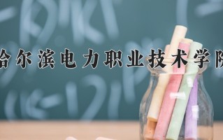 2024年哈尔滨电力职业技术学院录取分数线，河北最低432分