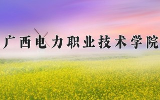 2024广西电力职业技术学院录取分数线，重庆录取最低分379