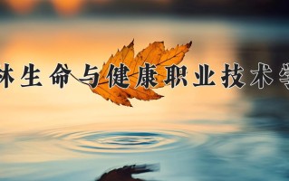 2024年桂林生命与健康职业技术学院录取分数线，青海最低241分