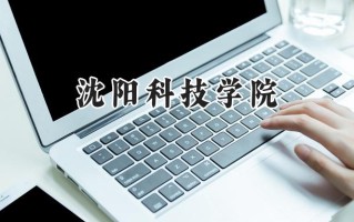 2024沈阳科技学院录取分数线：山西最低383分