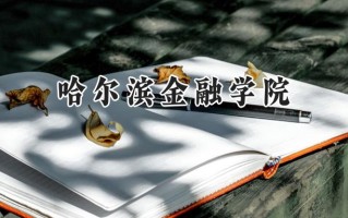 哈尔滨金融学院2024在内蒙古录取分数线是多少？最低389分/最高489分
