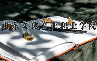 2024山东文化产业职业学院录取分数线，重庆录取最低分180