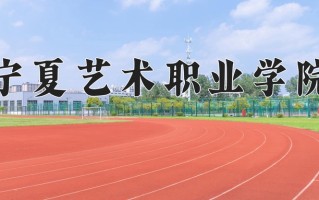 2024年宁夏艺术职业学院录取分数线，宁夏最低263分