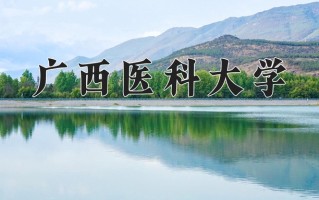 2024年广西医科大学录取分数线，内蒙古最低448分