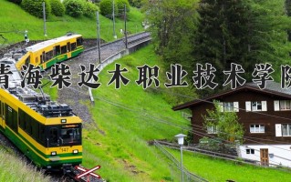 2024年青海柴达木职业技术学院录取分数线，新疆最低200分