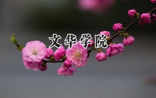 文华学院2024在上海录取分数线是多少？最低403分/最高414分
