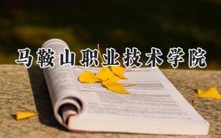 马鞍山职业技术学院2024在江苏录取分数线是多少？最低330分/最高420分