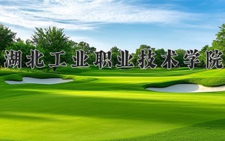 2024湖北工业职业技术学院录取分数线：浙江最低418分