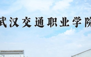 2024武汉交通职业学院录取分数线：浙江最低431分