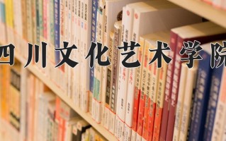 2024年四川文化艺术学院录取分数线，内蒙古最低304分