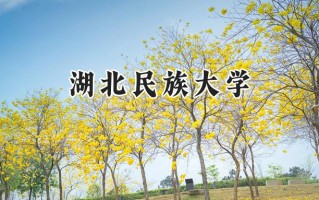 湖北民族大学2024在浙江录取分数线是多少？最低488分/最高592分