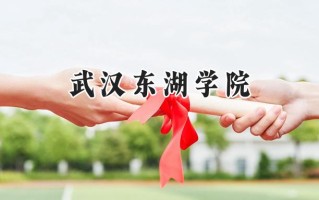 武汉东湖学院2024在青海录取分数线是多少？最低325分/最高401分