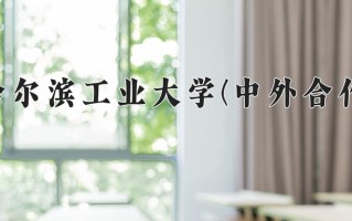 2024哈尔滨工业大学(中外合作)录取分数线，重庆录取最低分618