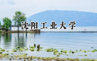 沈阳工业大学2024在江苏录取分数线是多少？最低529分/最高572分