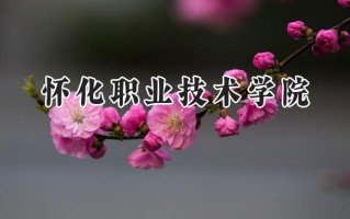怀化职业技术学院2024在内蒙古录取分数线是多少？最低204分/最高352分