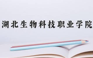 云南266分能上什么大学？附2025年可以报考的大学名单