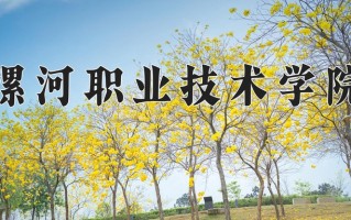 2024漯河职业技术学院录取分数线：浙江最低410分