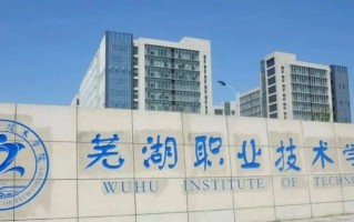 2025中国高职院校排名一类（最新完整版高职院校排行榜）