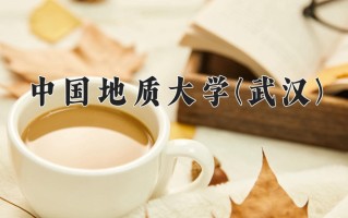 2024年中国地质大学(武汉)录取分数线，新疆最低484分