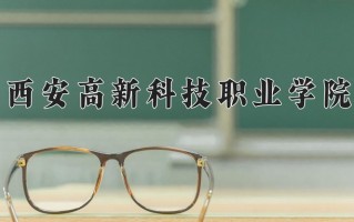 2024年西安高新科技职业学院录取分数线，新疆最低143分