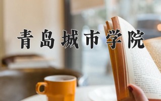 青岛城市学院王牌专业排名-含2025年全国各省录取最低分数线