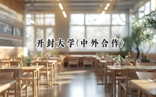2024开封大学(中外合作)录取分数线：河南最低269分