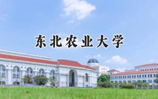 东北农业大学2024在福建录取分数线是多少？最低567分/最高602分